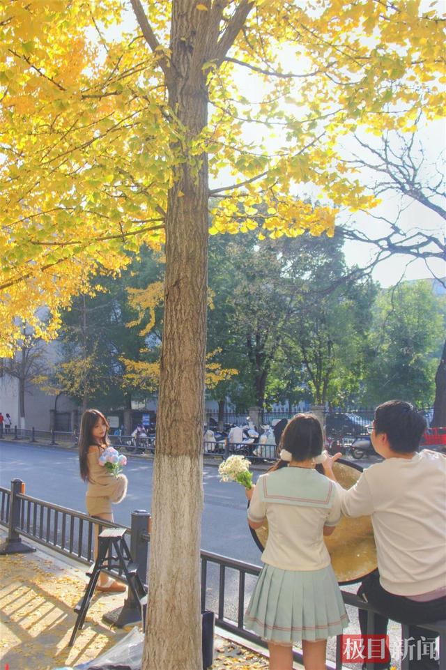 湖北荆州：闹市中藏着“银杏谷”