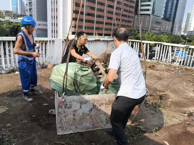 广州硬核“扫楼”！“无人机+吊机”完美搭档，清扫天台蚊虫孳生地