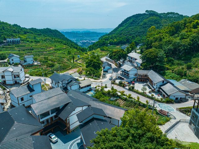 重庆大渡口：美丽庭院扮靓“大美”乡村