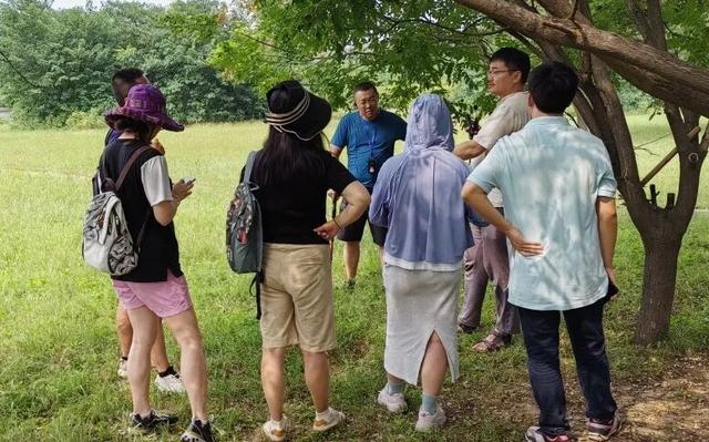 巩义游学| 玉米秋收季！寻北宋皇陵与千年石像生（10/17-19）