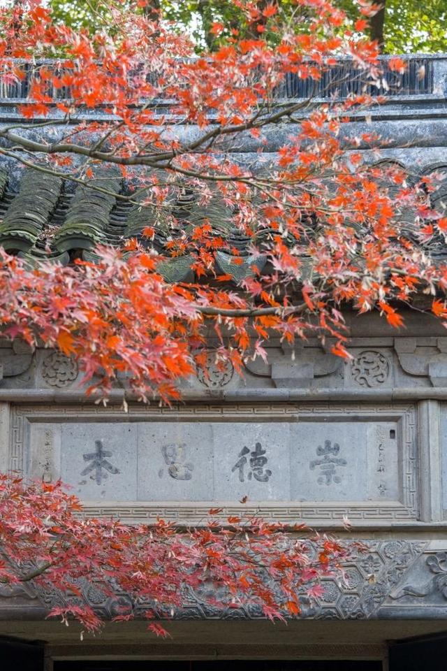 周末去打卡丨红了！吴江追“枫”宝典请收藏