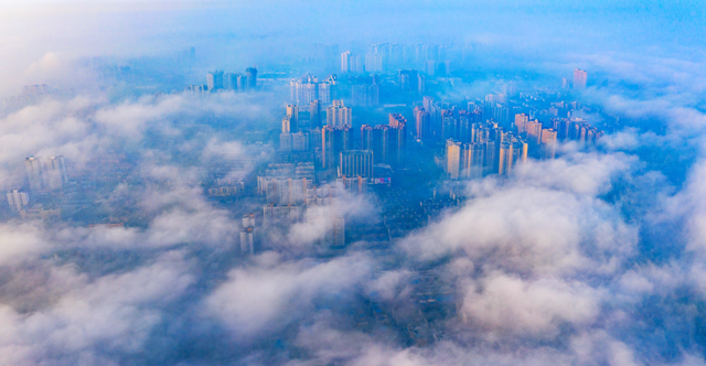 飞“阅”新都 | 一座生长在公园里的城市