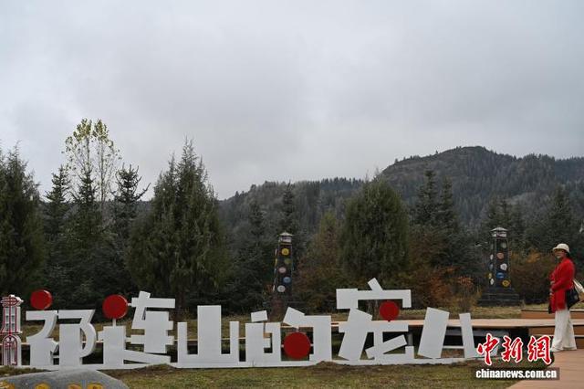 祁连崖壁间秋意尽染“千年古刹”马蹄寺