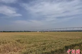 陕西进入“高温模式” 当地如何应对“烤”验？图片