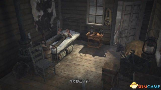 《荒野大镖客：救赎》全剧情流程攻略 全支线任务全收集攻略