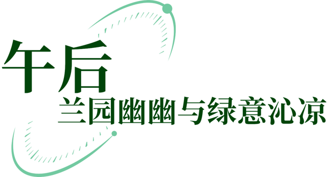 青秀山一日漫游｜山水清音，邂逅这抹南宁的青秀绿
