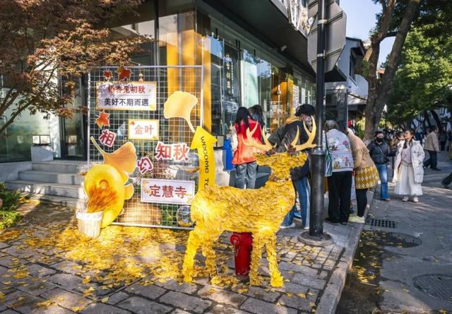 好景成双，来定慧寺巷邂逅小确“杏”
