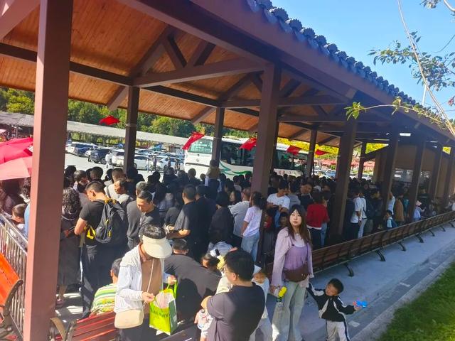 康县青龙山云道斩获法国设计金奖