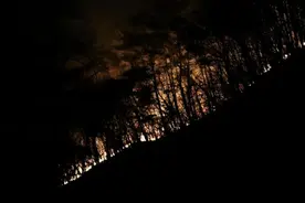 超70人伤亡，近7000人流离失所！韩国多地山火复燃……图片