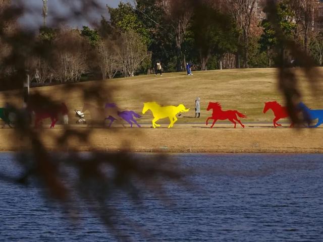 别宅啦！闵行的冬日浪漫，从艺术馆到公园都给你安排好了→