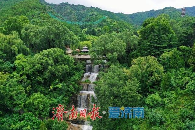 一年四季 泉在济南丨免票入园！红叶谷邀您共赴清凉盛宴