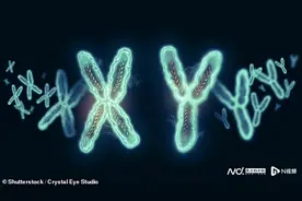 首次破解Y染色体密码：重大突破有助于治疗癌症和少精顽疾图片