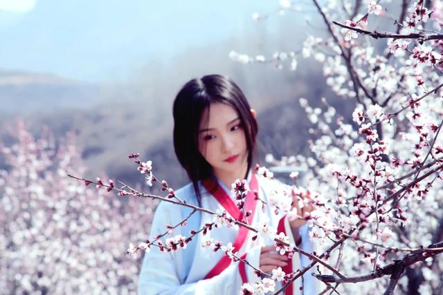 黄河畔 桃花醉｜荆紫仙山第十二届桃花节将于3月8日启幕