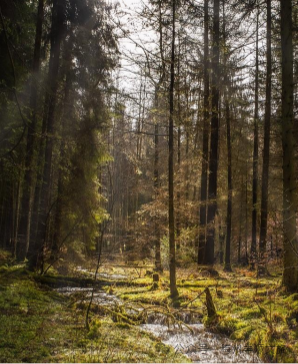 又火了！丰顺铜鼓峰“四大”景观，到底有多美？