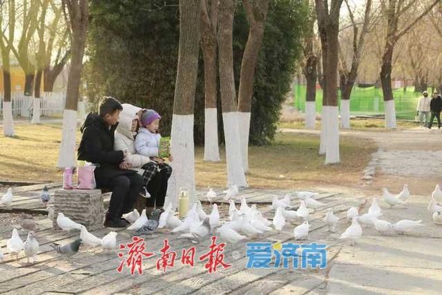 风过苇梢，湖映冬阳 济西湿地的冬日限定美好