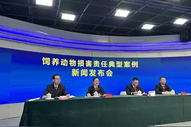 最高法：禁止饲养的大型犬致人损害 饲养人、管理人承担全部赔偿责任图片