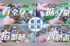想要挑到肥美的大闸蟹，“一看二掂三掐四剥”口诀要记牢