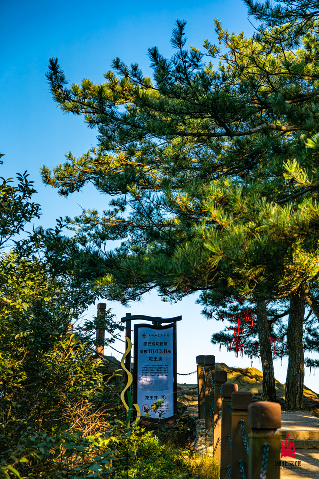 想追风，去团风！