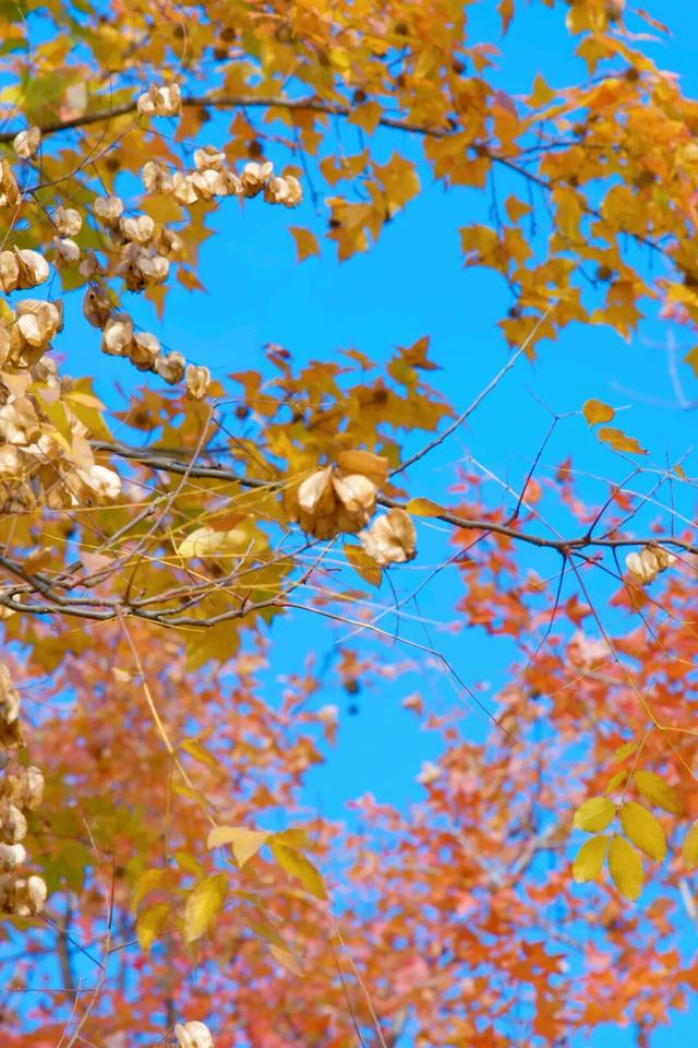 在千岛湖，这5公里要慢行！