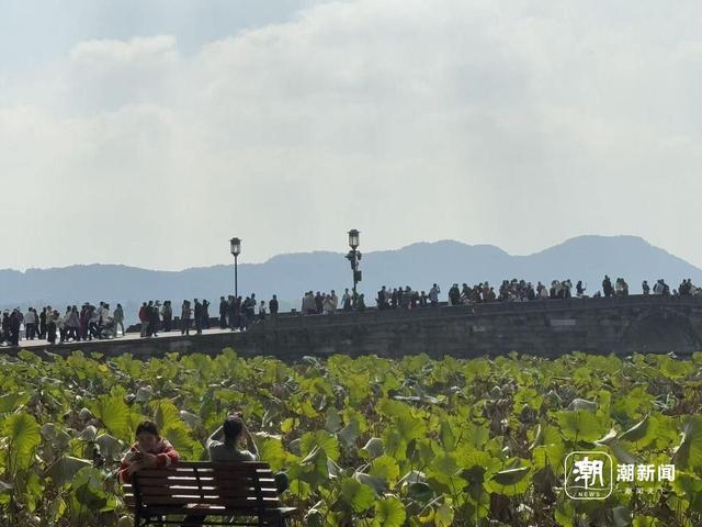 西湖秋假热：今天断桥被这些孩子们“占领”啦！