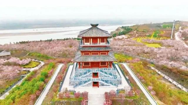 人民公园早樱已开！郑州5个超美樱花观赏地推荐！