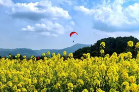 守护驭风勇士！洪雅公安全力护航2025川渝滑翔伞定点联赛图片