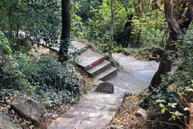 在雨山邂逅暗香苑，寻见一方藏在城市角落的桃花源