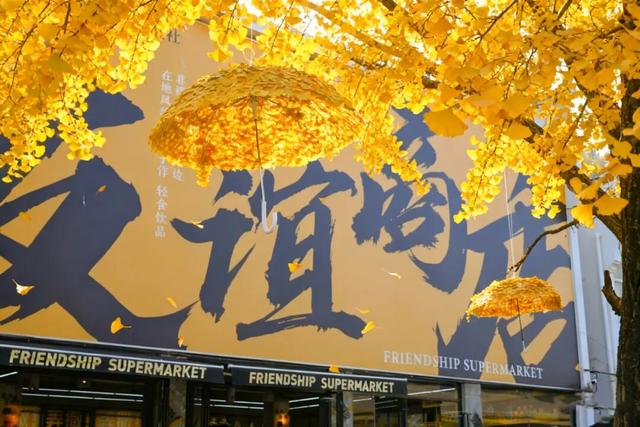 网上爆火的“银杏伞”，在银杏谷……