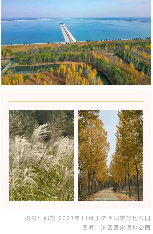 济南的秋天，大电影质感！