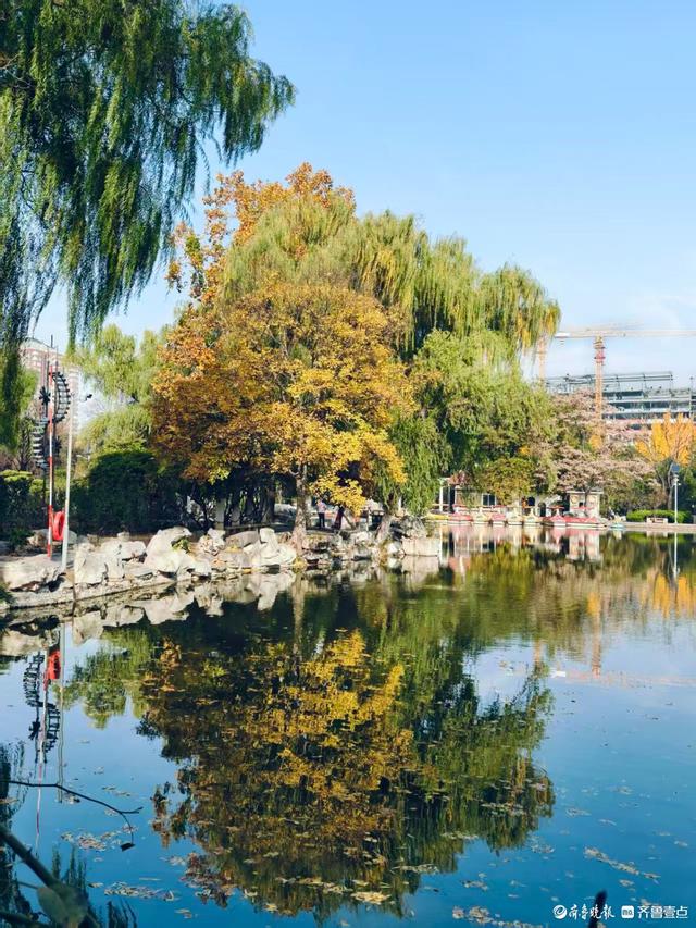 秋高气爽，金色泉城公园