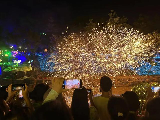 双节同庆 乐享三水丨创新高！三水森林公园化身“不夜城”，单日客流超5000人次