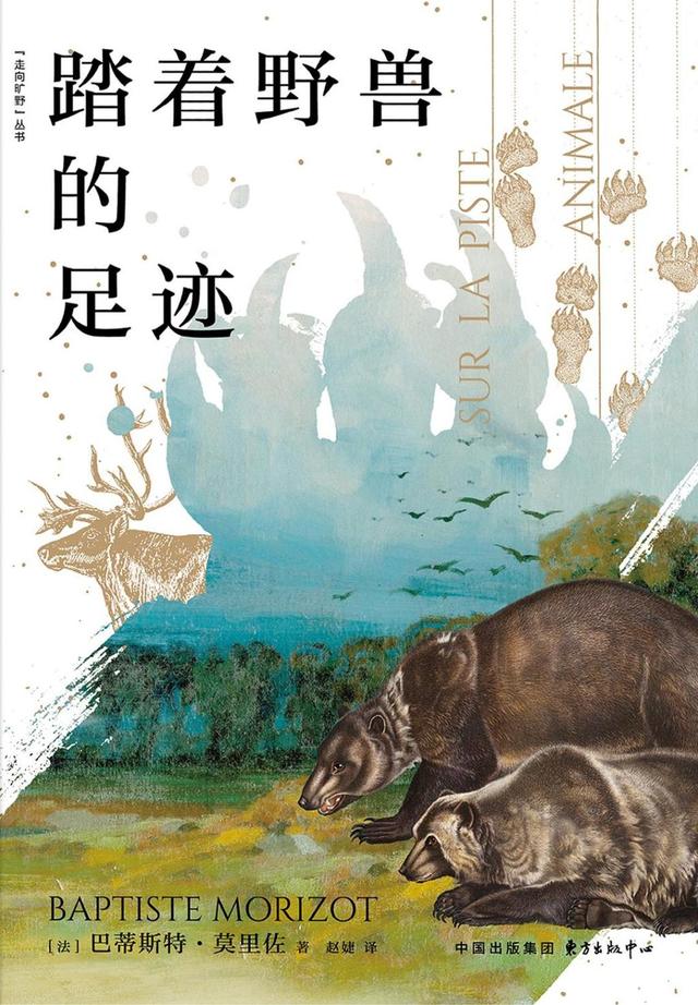 科普书单·新书｜你的脚比头年轻