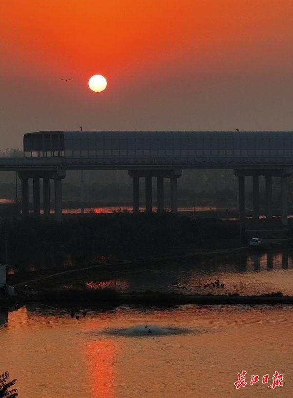 涨渡湖湿地森林公园层林尽染