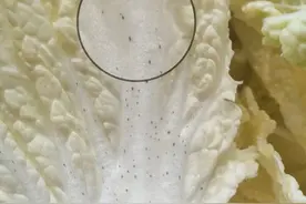 这8种你以为坏了的食物，其实都能吃！图片