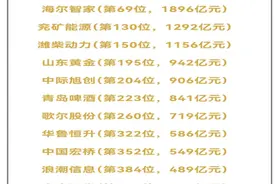 上市公司500强山东14家：“聚焦高端调结构”的样本图片