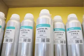 仲景之光 “新”耀世界丨日用+医用 传统艾草“提出”现代养生新思路图片
