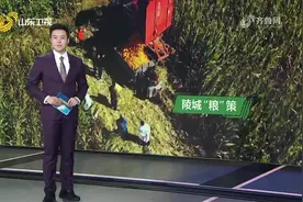 【山东新闻联播】“吨半粮”创建的陵城“粮”策图片
