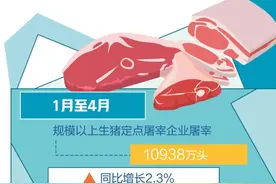 猪价缘何反弹？上涨空间有多大？图片