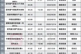 2024主动权益基金业绩排位出炉：雷志勇大幅领先夺冠 金梓才5只产品霸榜前五 AI成大赢家图片