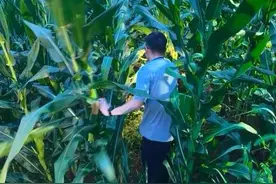 离谱！男子“失联”后暴走6天，只为忘了前女友图片