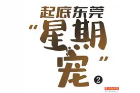 宠物猫买回第二天就被诊断出猫瘟图片