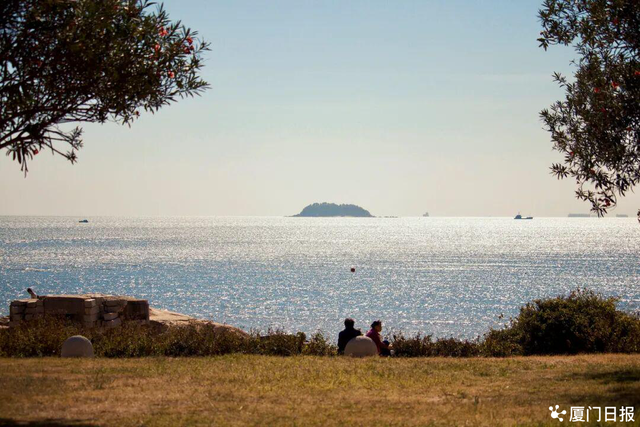 为什么是厦门？