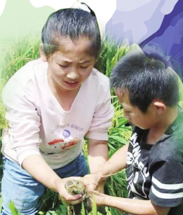 昆明：安放乡愁 盛放诗意