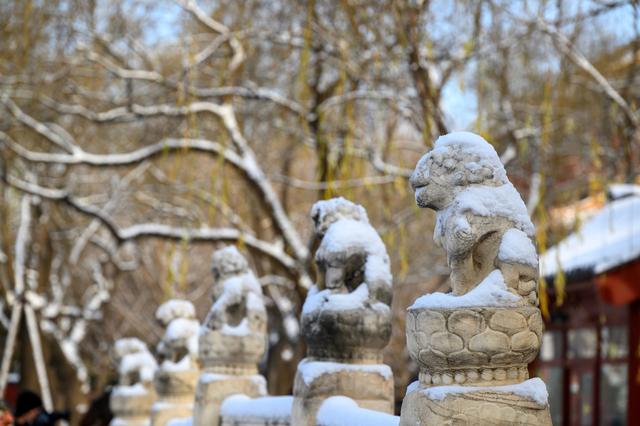 雪后初霁游故宫