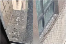 轿子雪山迎2024年第一场雪！图片