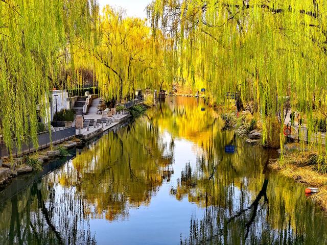 芦苇黄，河水碧，邂逅北京南长河畔的初冬