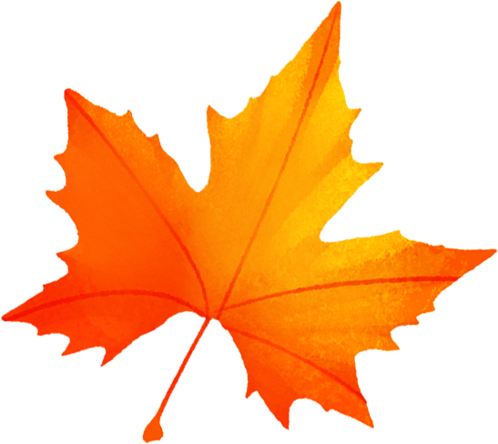 龙虎山藏着“神仙玩法”？这个周末，青萍剑+八段锦免费学！