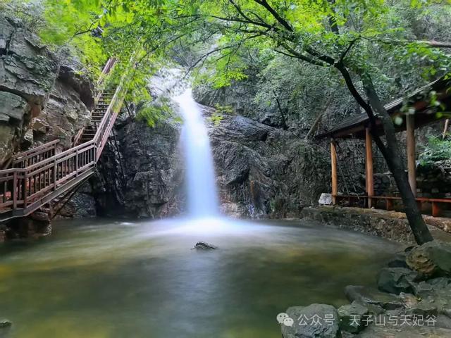 山洪褪去，澄澈归来，天子山景区已开园，快来这里进行一次心灵与自然的洗礼吧！