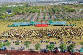 研学热潮涌动，南沙都市农业实验园打造农业研学实践新地标图片