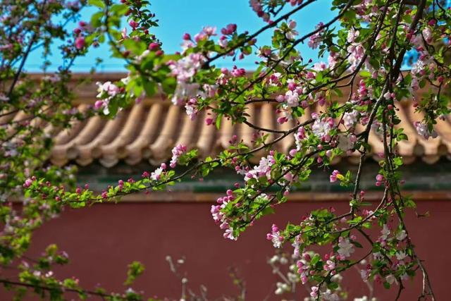 “新北京游”，你玩过几件套？